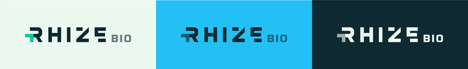 Rhize-Logos